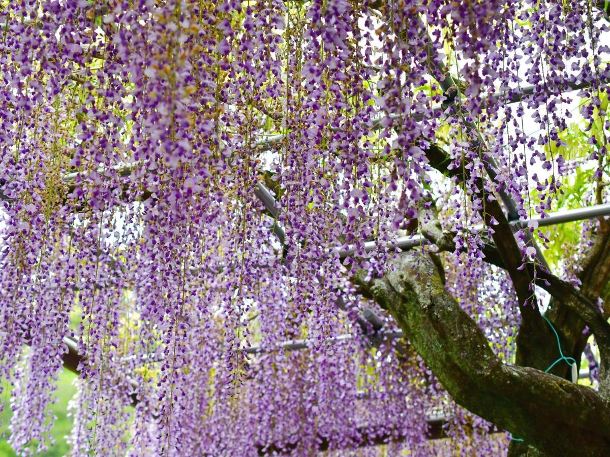 Hotel Tomioka-Ya Fujieda ภายนอก รูปภาพ